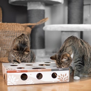 Toys for cats that like sale to hunt