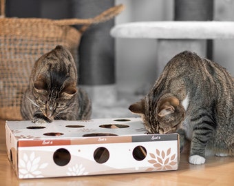 MagicBox Schatzsuche Futterspiel | interaktives Katzenspielzeug