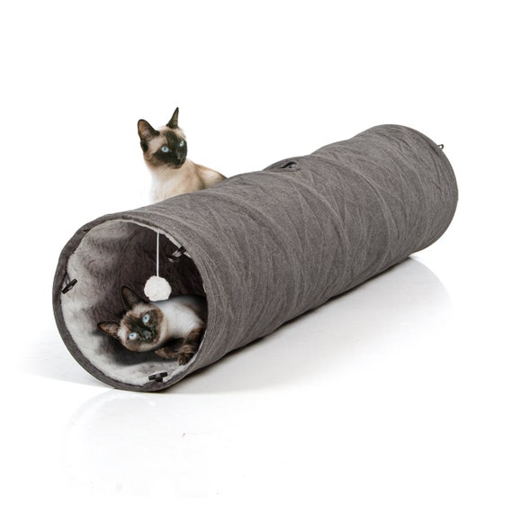 grey cat tunnel