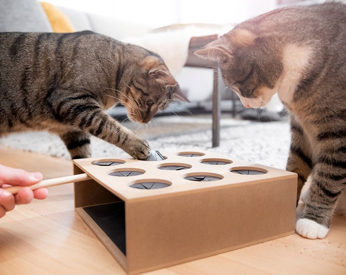 Fang die Maus Box - Geschicklichkeitsspiel für Katzen / interaktives Katzenspielzeug / Activity Board / cat toy / cat play