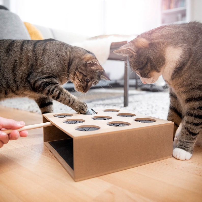 Catch the Mouse Box skill game for cats / interactive cat toy / activity board / cat toy / cat play image 1