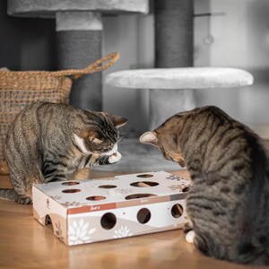 MagicBox Schatzsuche Futterspiel interaktives Katzenspielzeug Bild 5