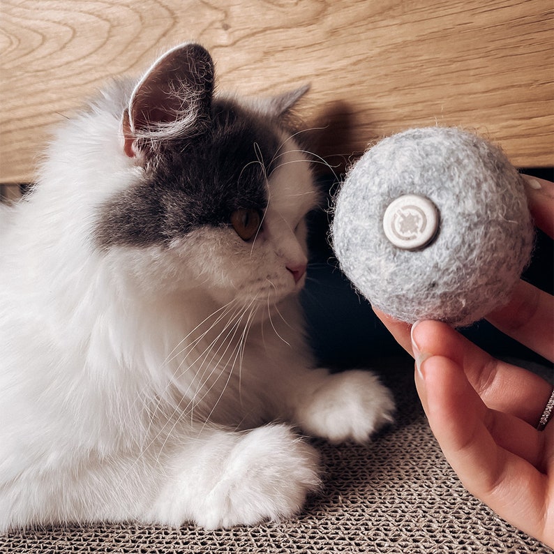 Filzball Wollball mit verschließbarem Duftfach für Katzen mit Katzenminze Bild 5