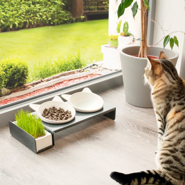 Fressnapf raised bowl "Cat Diner", 3 ceramic bowls interchangeable, elegant designer feeding station made of metal, grey/white