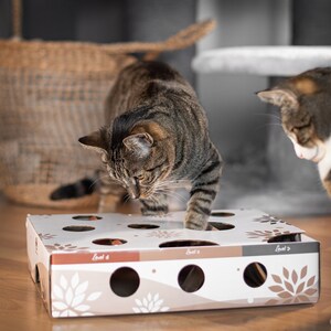 MagicBox Schatzsuche Futterspiel interaktives Katzenspielzeug Bild 7