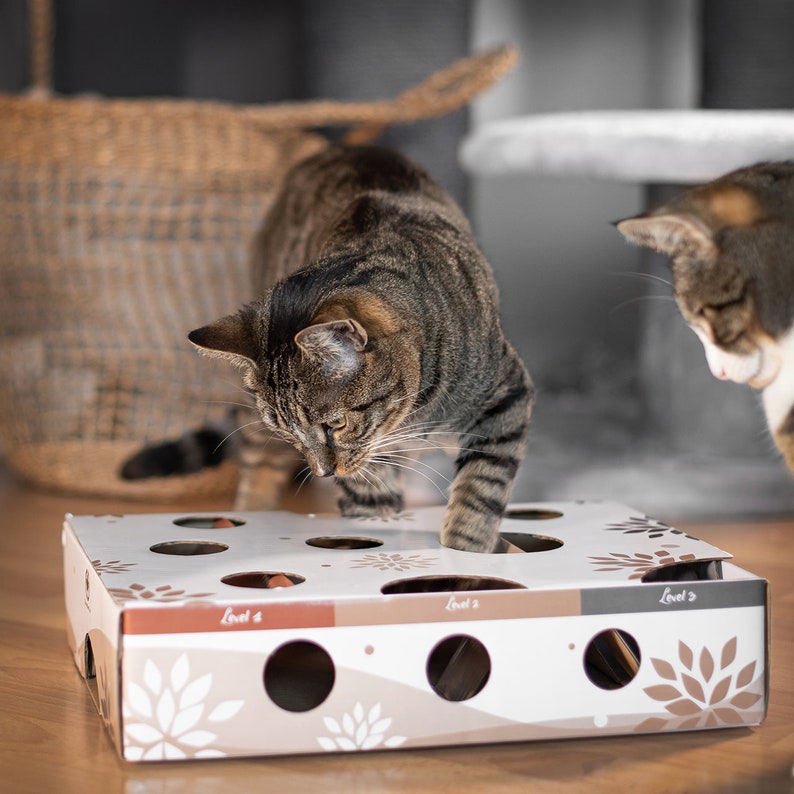 MagicBox Schatzsuche Futterspiel interaktives Katzenspielzeug Bild 7