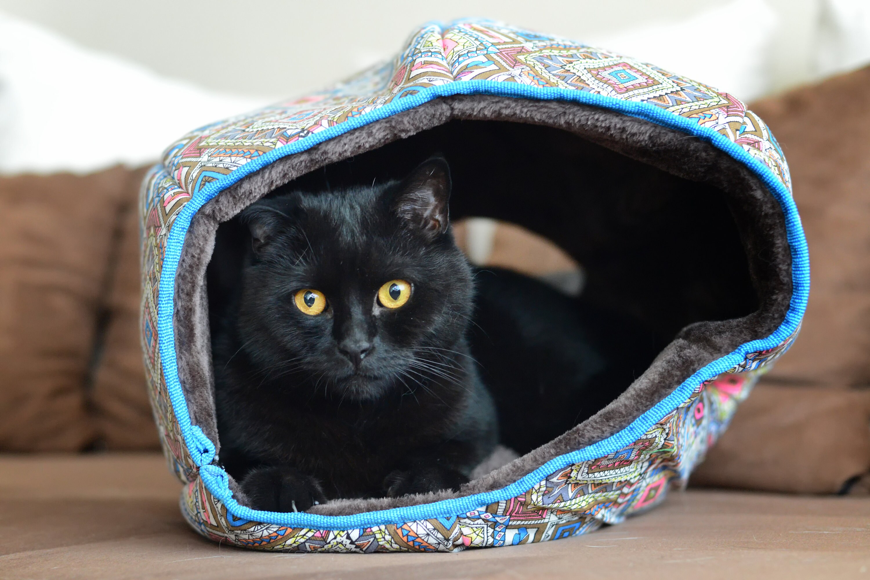 cat tunnels for large cats