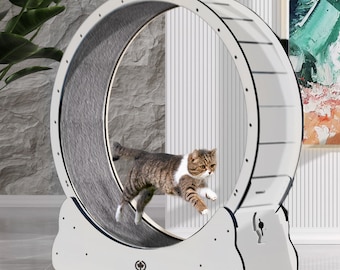 Vélo d'appartement en bois pour chat - CatInMotion - Appareil de jeu et d'entraînement pour chats | XLØ 120 cm