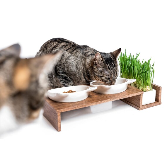 Feeding Station With Bowl For Cat Grass Ceramic Bowls Food Etsy