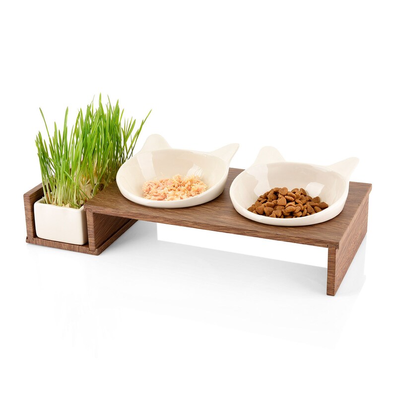 Feeding Station With Bowl for Cat Grass Ceramic Bowls Food Etsy