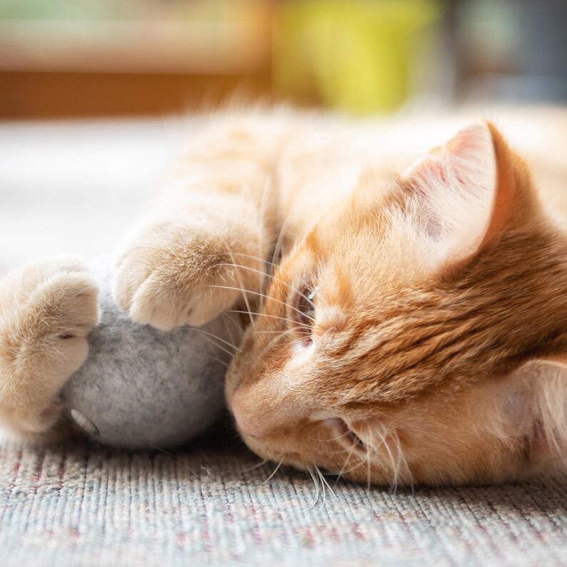 Filzball Wollball mit verschließbarem Duftfach für Katzen mit Katzenminze Bild 8