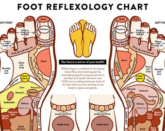 FEET REFLEXOLOGY CHART