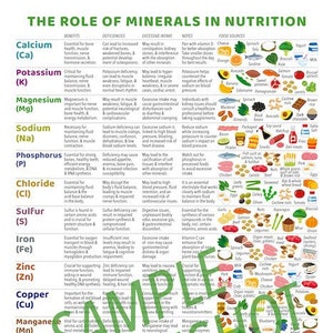 The Role of Minerals in Nutrition Chart/  1 page pdf / DIGITAL DOWNLOAD/ Patient education, Quick reference Cheatsheet, Dietitian, Knowledge