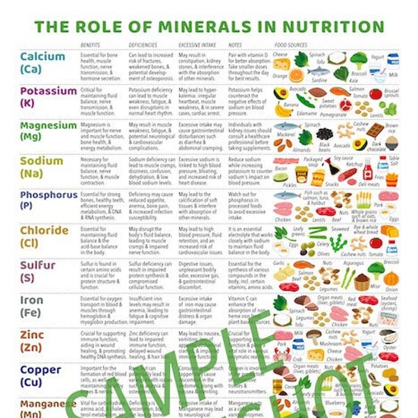 Gráfico del papel de los minerales en la nutrición/ 1 página pdf / DESCARGA DIGITAL/ Educación del paciente, Hoja de referencia rápida, Dietista, Conocimiento