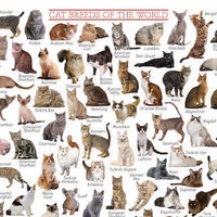 Cat Breeds Poster, Reference Chart…
