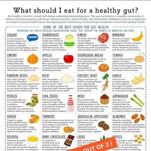 Nutrition for Gut Health Reference Chart, INSTANT DOWNLOAD 2-page PDF, 'At-a-glance' information guide, Probiotic and Prebiotic Food Choices