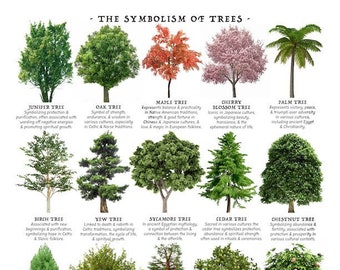 Tree Meaning Reference Chart, PRINTABLE / INSTANT DOWNLOAD Pdf, 'At-a-glance' Symbolism of Trees Poster, Identification, Education, Guide