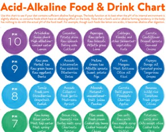 Alkaline Food Chart Etsy