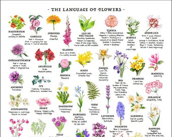 Flower Meaning Reference Chart, PRINTABLE / INSTANT DOWNLOAD Pdf, 'At-a-glance' Language of Flowers Poster, identification Education Guide