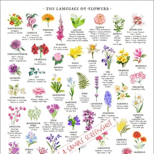 Flower Meaning Reference Chart, PRINTABLE / INSTANT DOWNLOAD Pdf, 'At-a-glance' Language of Flowers Poster, identification Education Guide