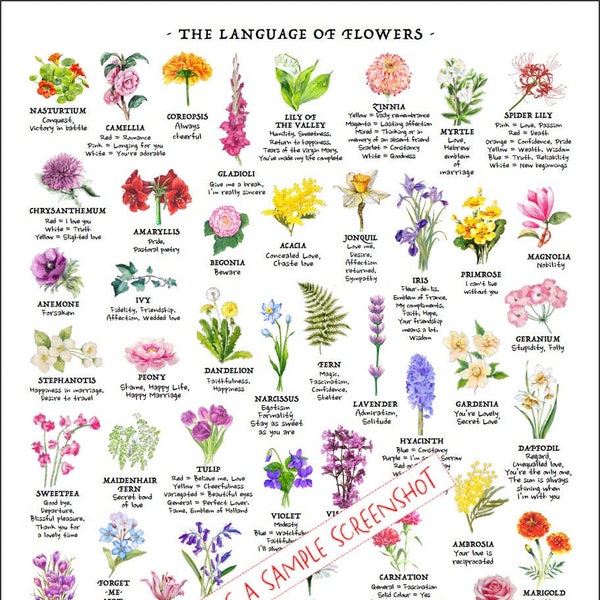 Flower Meaning Reference Chart, PRINTABLE / INSTANT DOWNLOAD Pdf, 'At-a-glance' Language of Flowers Poster, identification Education Guide