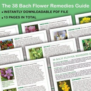 Guia Abrangente de Florais de Bach/Referência. PDF DE 13 PÁGINAS. Arquivo Digital para Download. Lista Resumida. Folheto do Praticante. Autoajuda.
