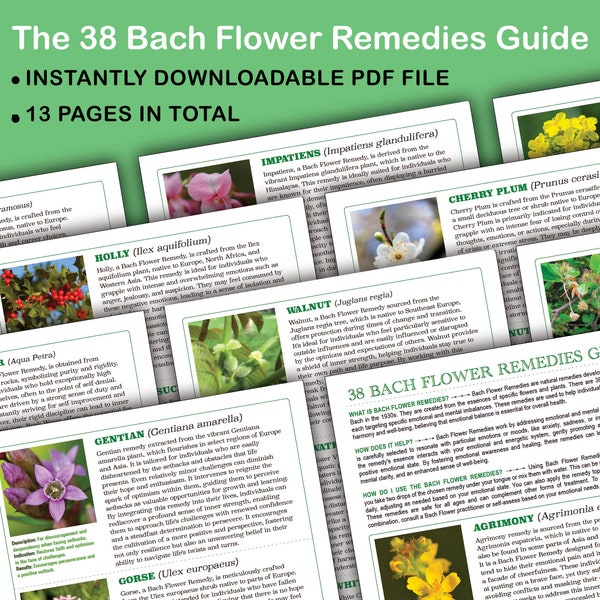 Guide/référence complet des fleurs de Bach. PDF DE 13 PAGES. Fichier de téléchargement numérique. Liste récapitulative. Document à l'usage des praticiens. Auto-assistance.