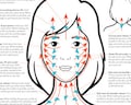 Gua Sha Technique Guide, PRINTABLE (instant digital download), Essential chart/ poster for Facial Guasha massage with directions, 1-page PDF