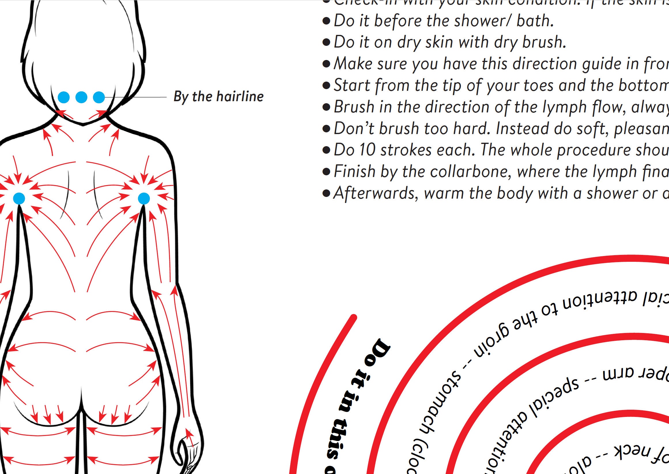Lymphatic Drainage Dry Brushing Chart & How To Guide (Free Download)