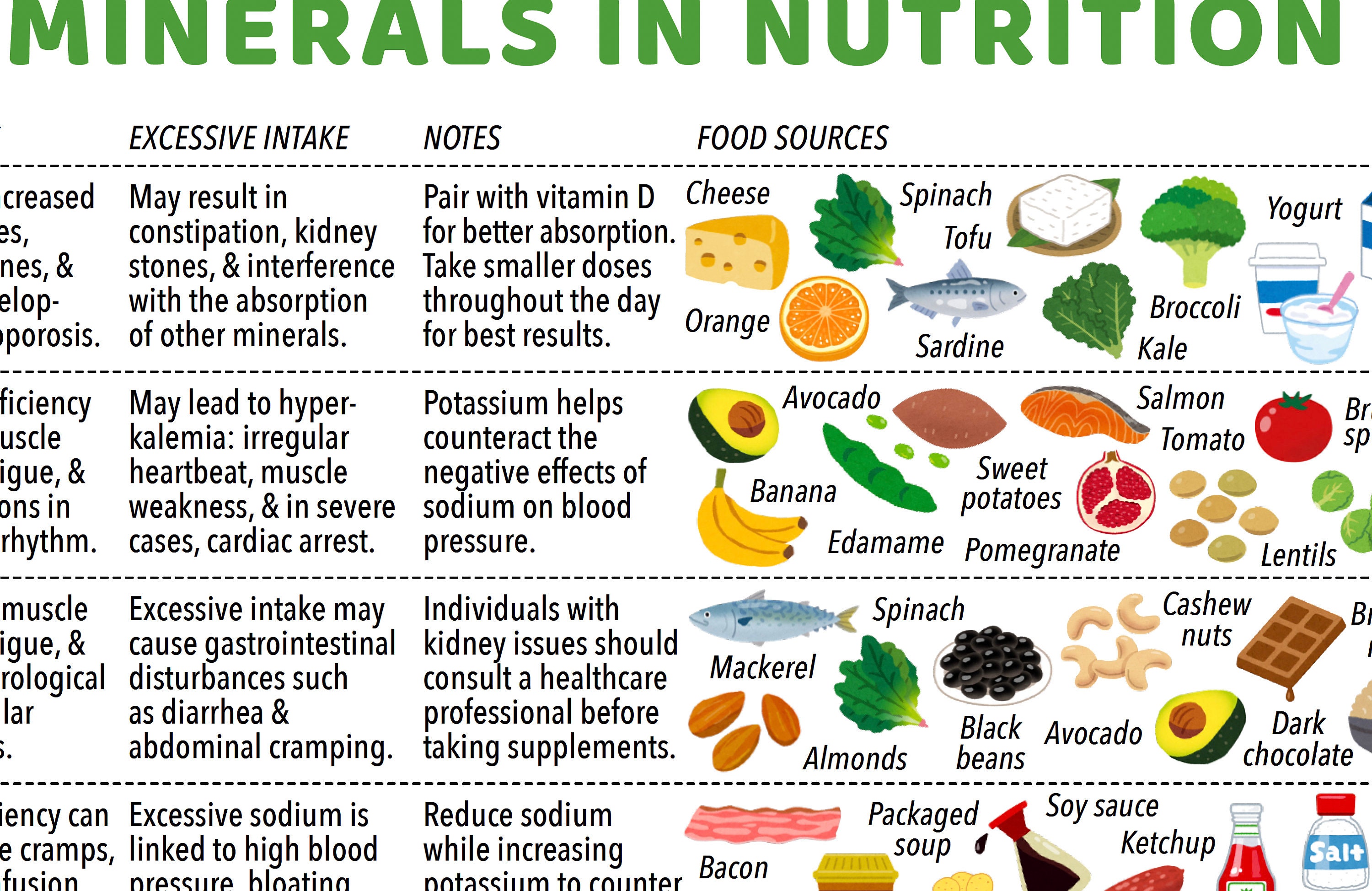 The Role of Minerals in Nutrition Chart/ 1 Page Pdf / DIGITAL DOWNLOAD ...
