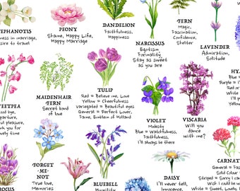 Flower Meaning Reference Chart, PRINTABLE / INSTANT DOWNLOAD Pdf,  'at-a-glance' Language of Flowers Poster, Identification Education Guide -  Etsy