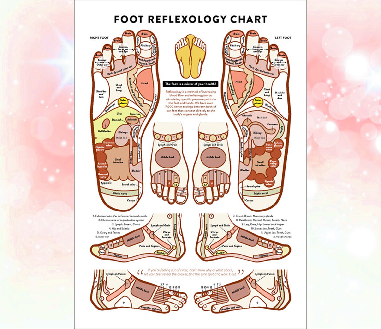 Reflexology And Acupressure Chart For The Feet Print X Etsy My Xxx