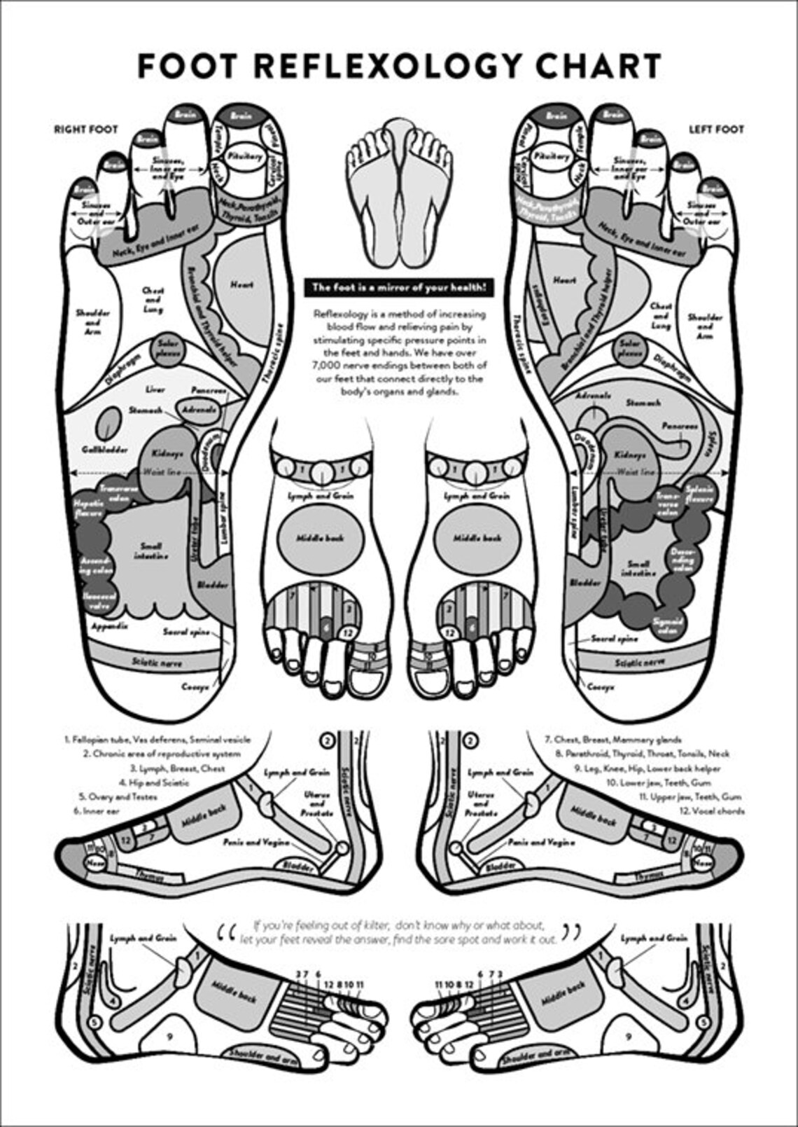Foot Acupressure and Reflexology Chart PRINTABLE/ INSTANT Etsy Australia