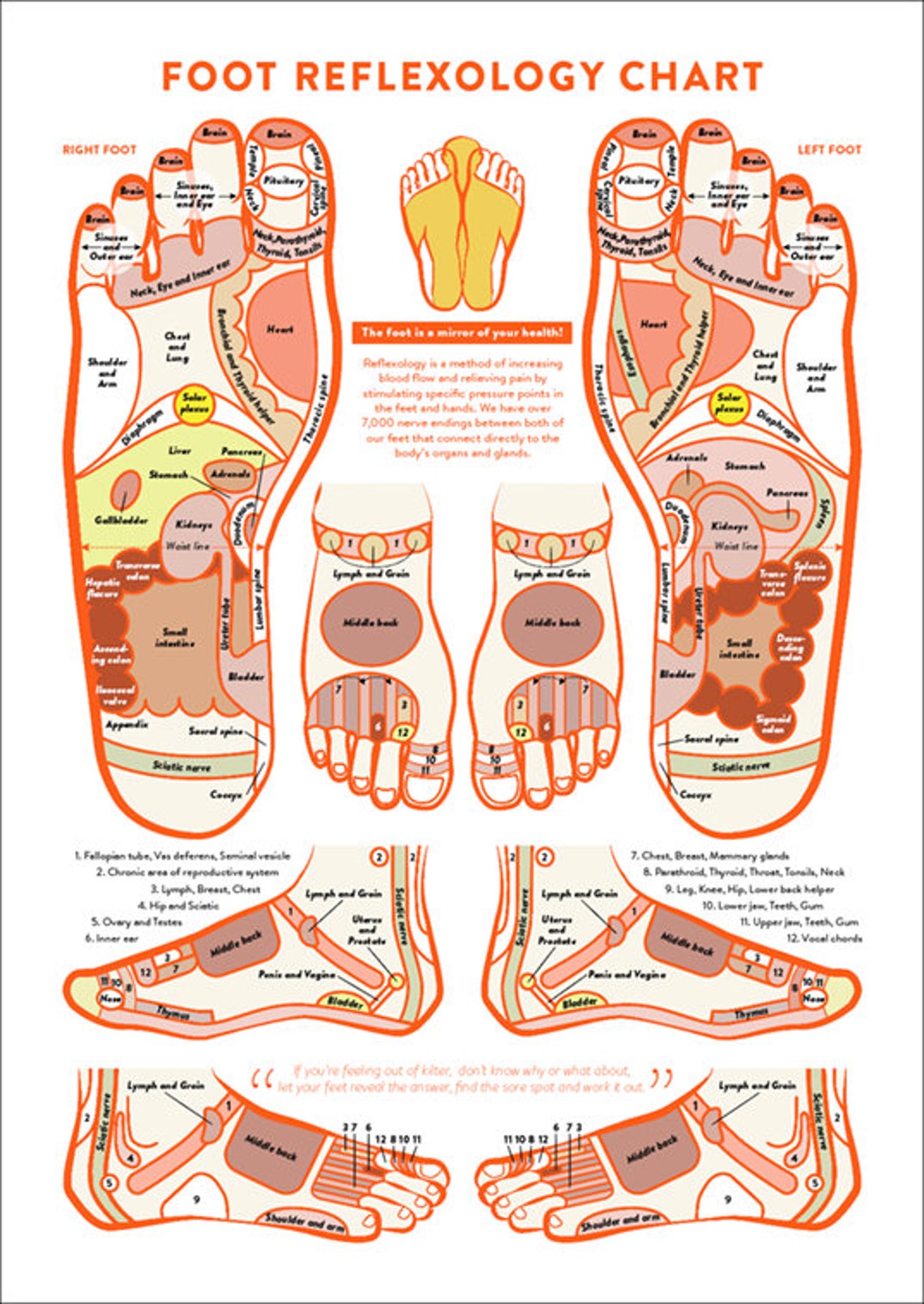 Foot Acupressure and Reflexology Chart PRINTABLE/ INSTANT Etsy