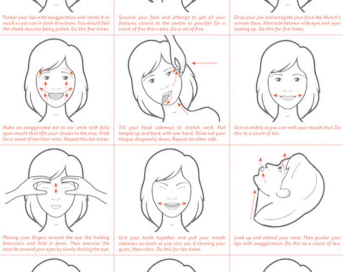 Facial Muscles and Their Functions Guide, (printable/ Instant Digital ...