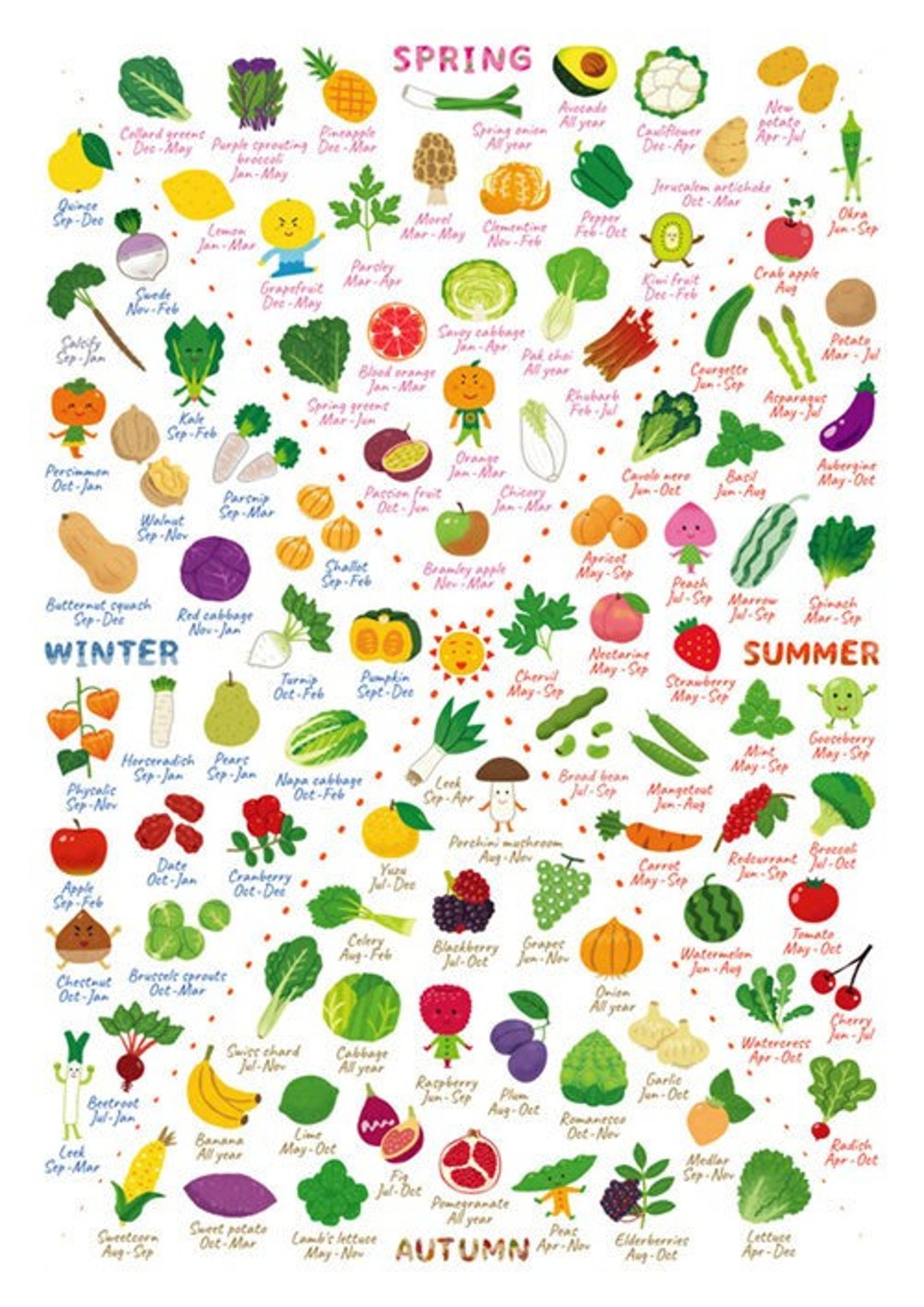 Seasonal Food Guide PRINTABLE/ DOWNLOADABLE Educational Vegetable