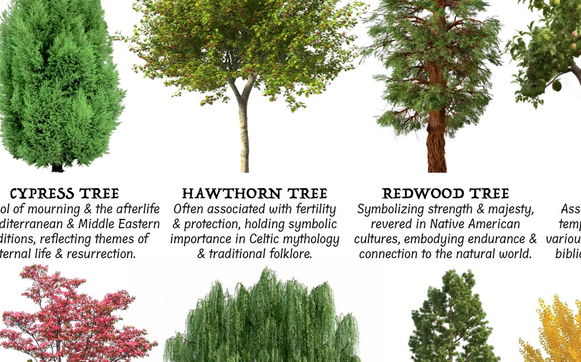 Tree Meaning Reference Chart, PRINTABLE / INSTANT DOWNLOAD Pdf, 'at-a ...