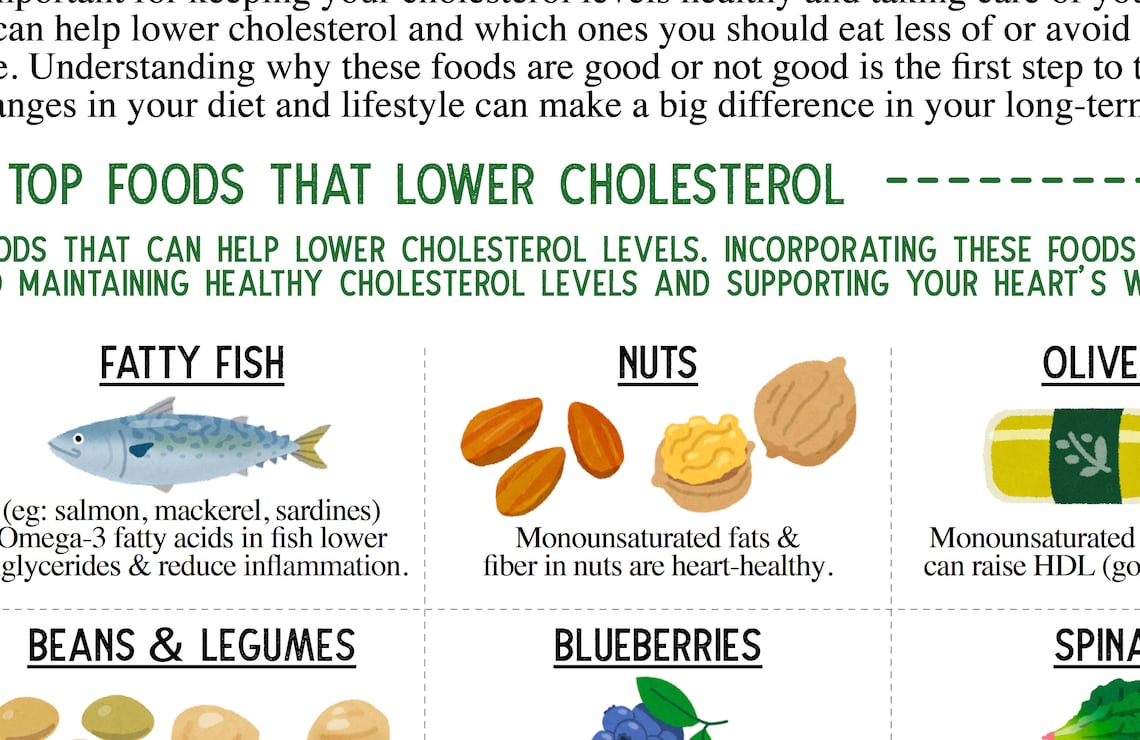 Foods to Lower Cholesterol Guide/ Chart, 2 Page Pdf PRINTABLE DOWNLOADS/ Patient Health