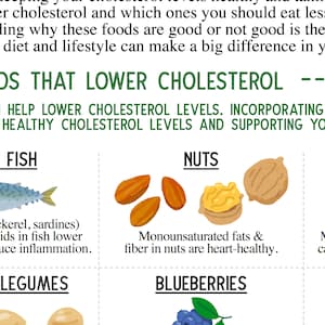 Etsy listing for a digital download. A guide to foods to lower your cholesterol. 2 page PDF. What foods and ingredients are good, and what foods should be avoided or limited. Also som tips on how to cook. And other lifestyle tips.