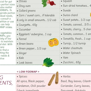 FODMAP foods list / At-a-glance chart to see which foods are low or high / 4 page Pdf / PRINTABLE DOWNLOAD / Patient education, Cheat sheet image 5