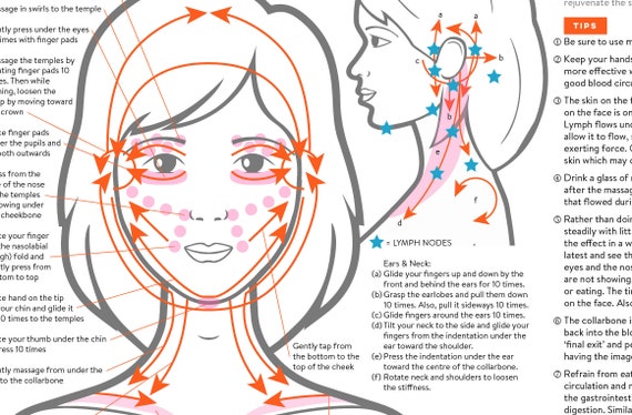 Facial Lymph Massage Direction Guide Poster PRINTABLE/ - Etsy