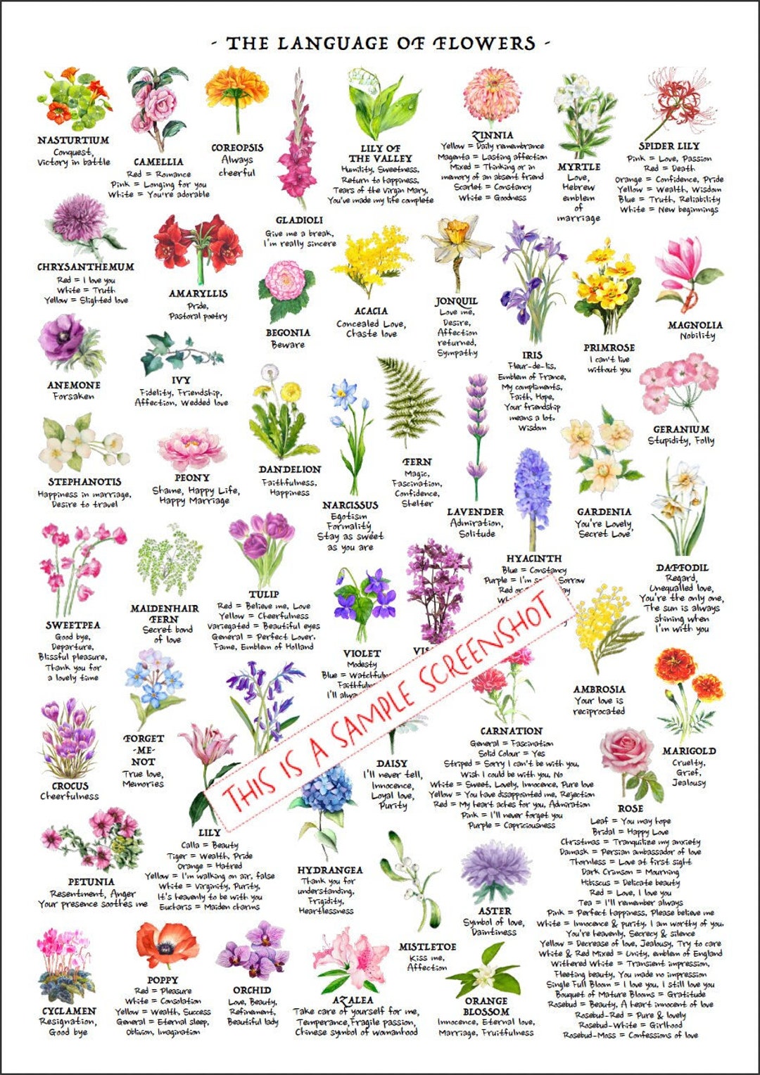 Flower Meaning Reference Chart, PRINTABLE / INSTANT DOWNLOAD Pdf, 'at-a ...