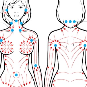 Poster guida alla direzione della spazzolatura del corpo a secco, STAMPABILE/DOWNLOAD IMMEDIATO cura di sé salute, drenaggio linfatico, tecnica di massaggio anticellulite