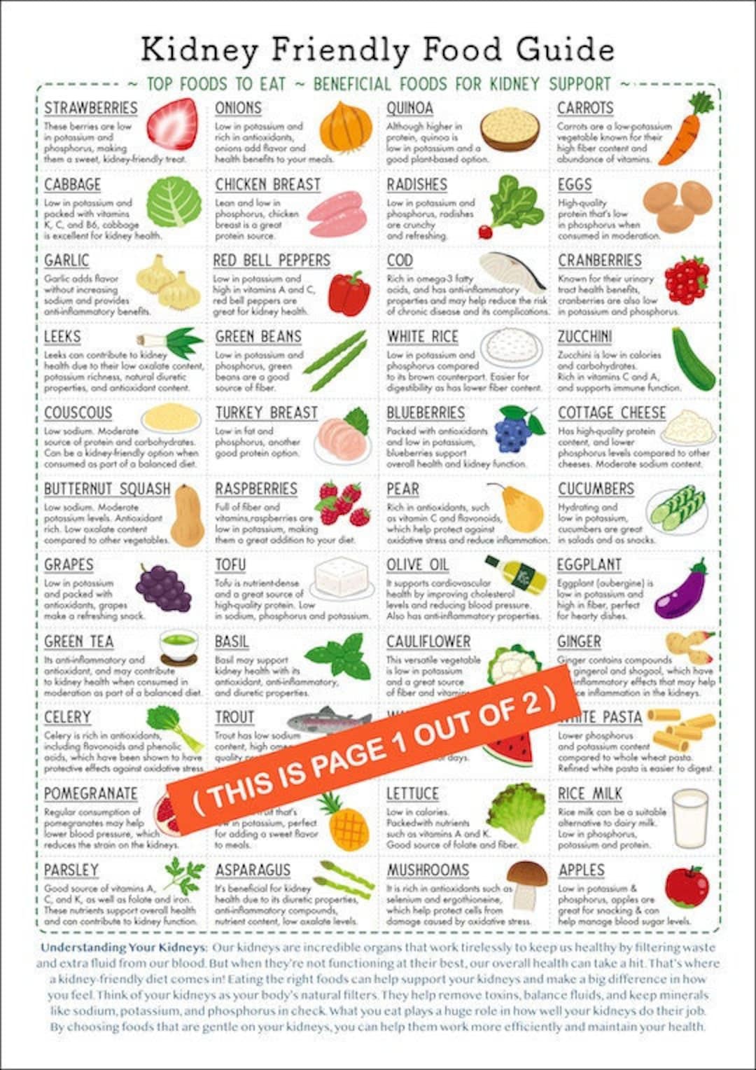 Kidney Friendly Foods Guide: Printable Nutrition Chart (PDF Download
