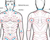 Facial Lymph Massage Direction Guide Poster PRINTABLE/ - Etsy Canada