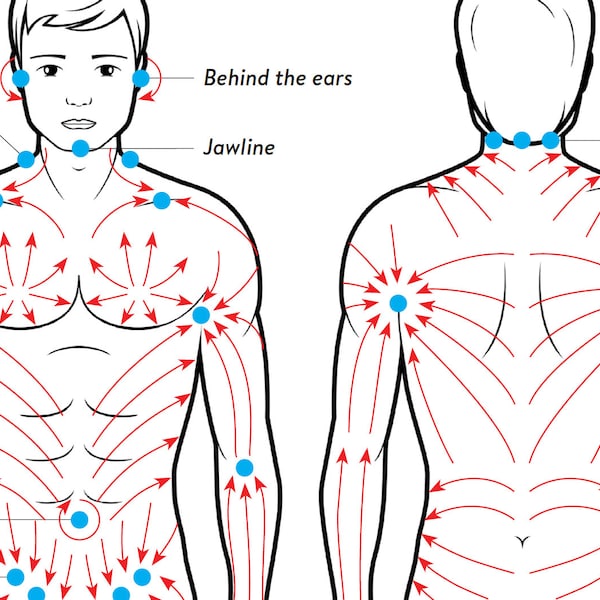 Dry body brushing direction guide MALE version, PRINTABLE/ DOWNLOADABLE, self care, lymphatic drainage, anti cellulite massage technique