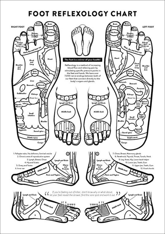 Foot Reflexology Chart Printable Instant Download Massage Etsy