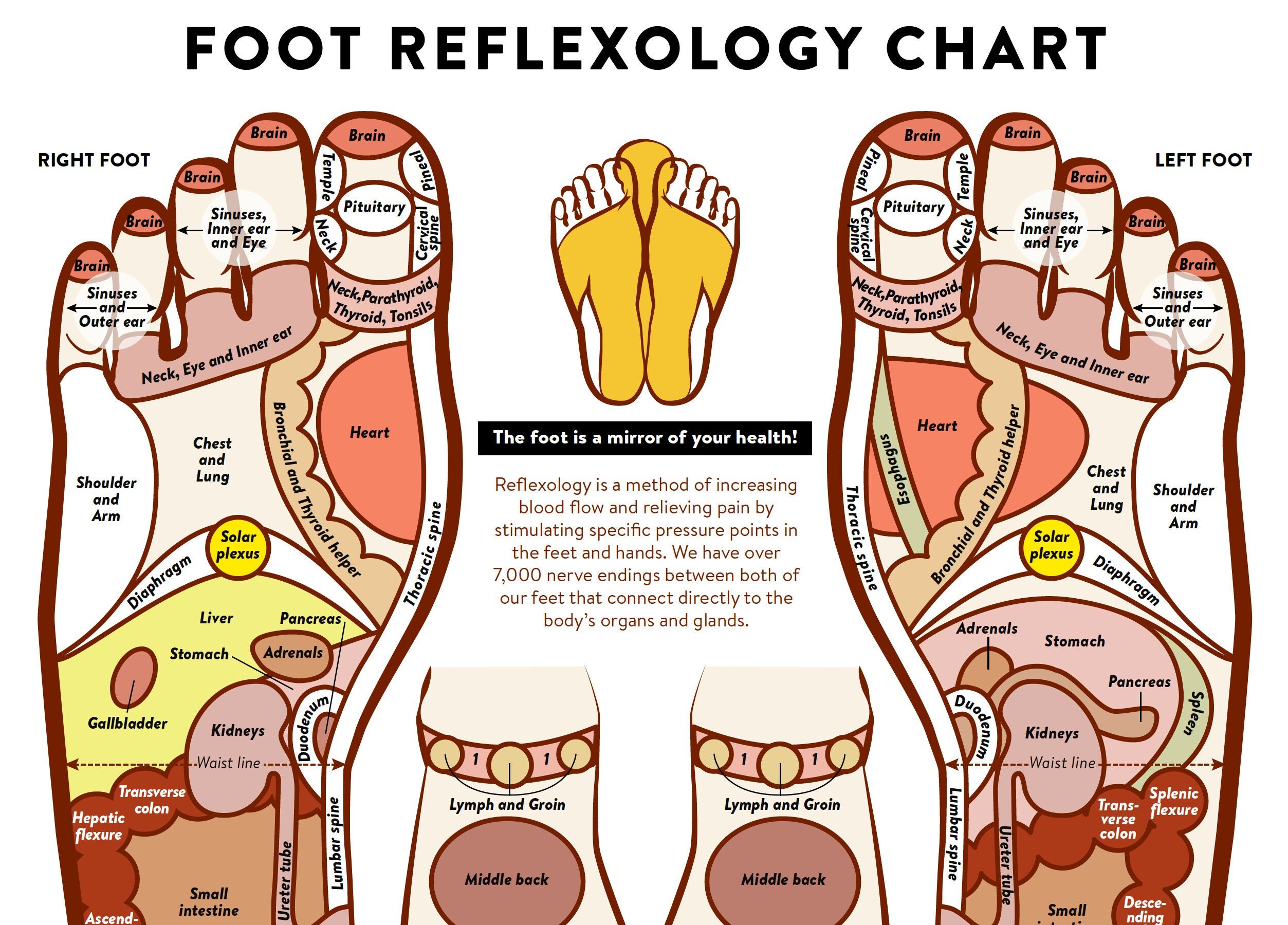 Foot Acupressure And Reflexology Chart PRINTABLE INSTANT DOWNLOAD 