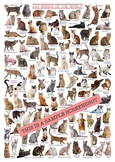 Cat Breeds Poster, Reference Chart, PRINTABLE DOWNLOAD PRINT