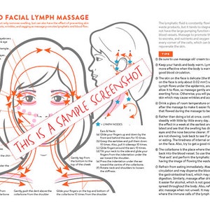 Facial Lymph Massage Direction Guide Poster, PRINTABLE/ INSTANT DOWNLOAD, Essential and ...